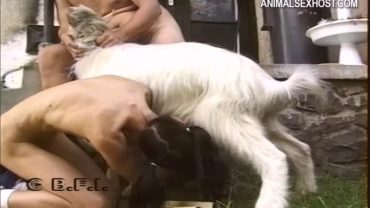 ap002_-_goat_sucking_bitch