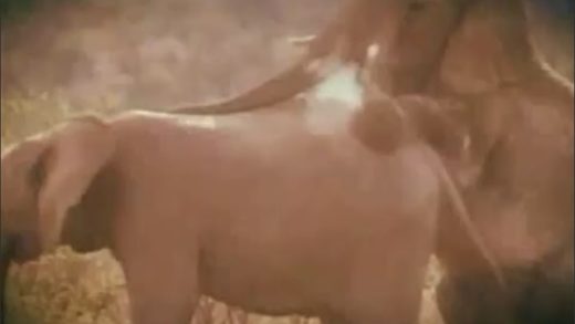 elephant_sex_discovery