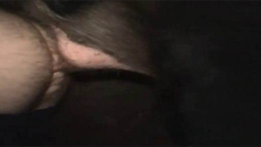 man_fucked_by_pig