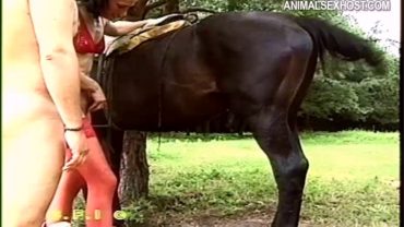 vio010_-_horse_explosion