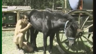bem0254_-_fun_with_my_pony