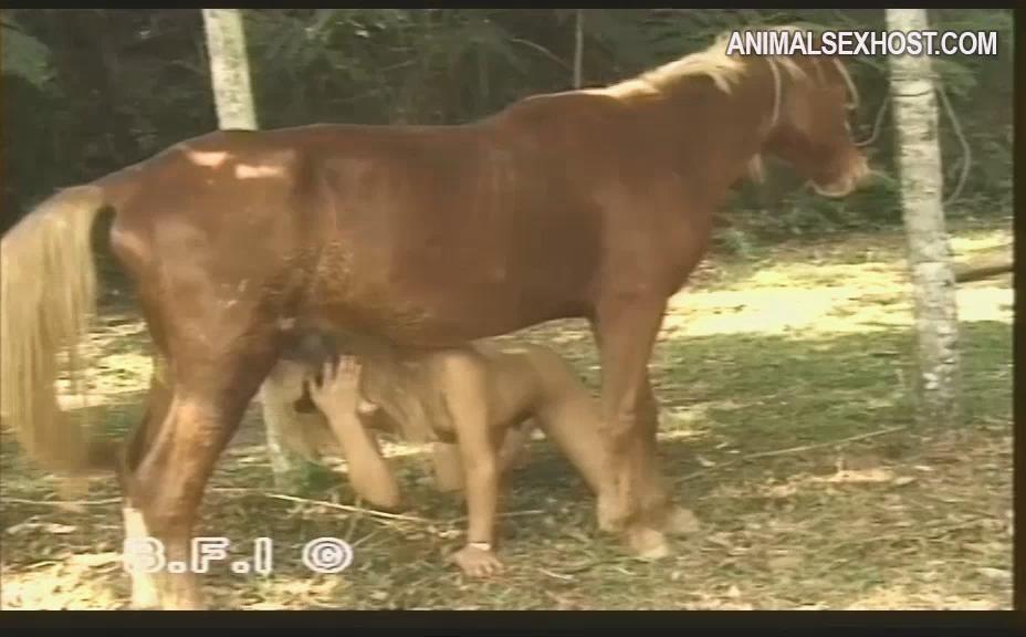 trans-animal-sluts
