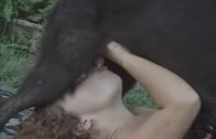 neu cachorro