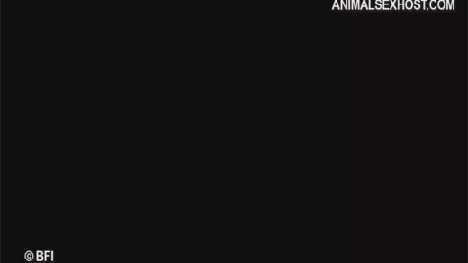 adilia_extra_sv