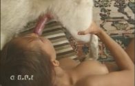 dog meat