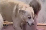 Young Girls Like Dog Pricks