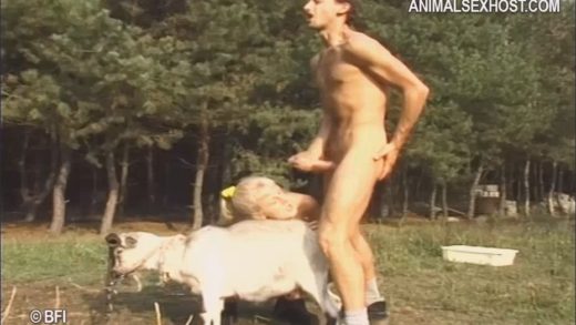 ard1603_-_horny_goat_md
