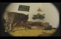 dog trainer