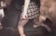 a good dogfuck