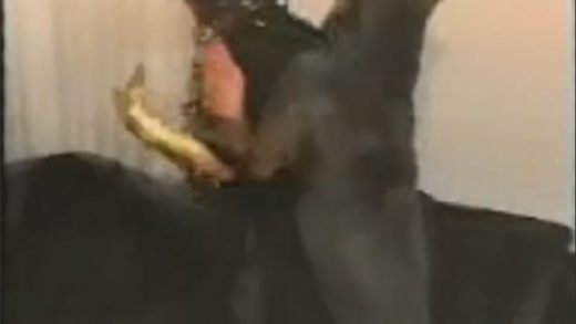 black_dane_fucking