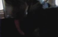 girls play pets