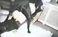 butt_fuck_animal