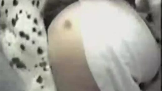 dalmatian_dog_fuck_girl