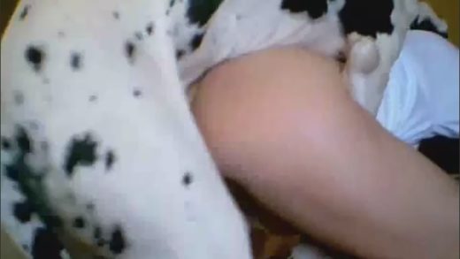 dalmation_love
