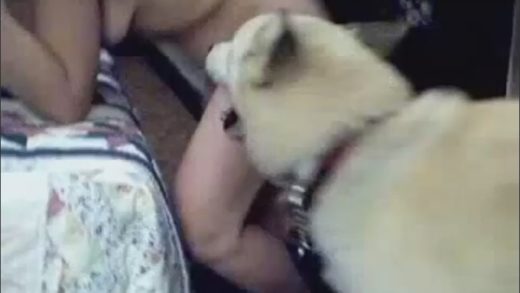 dog_and_women_on_phone