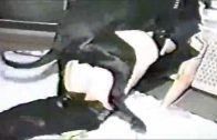dog fucking girl7
