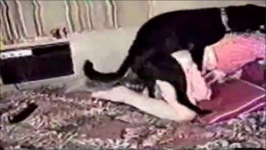 dog_fucking_me