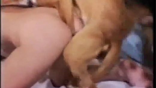 dog_fucks_girl