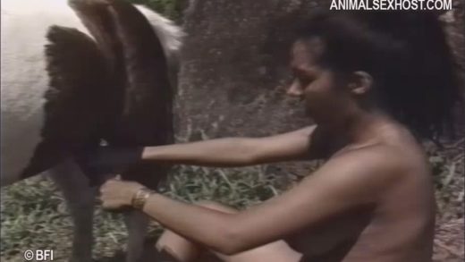 gm851_-_horse_affair_low_quality_hm