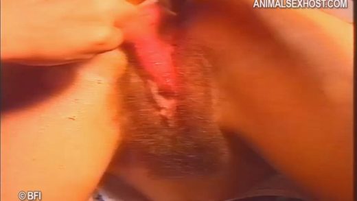 gmv2072_-_animal_highlights_09_2_sv