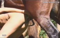 horse anal amanda opes cam 2
