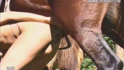 horse_anal_amanda_opes_cam_2_md