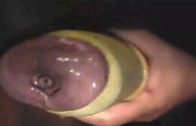 horsecumshot