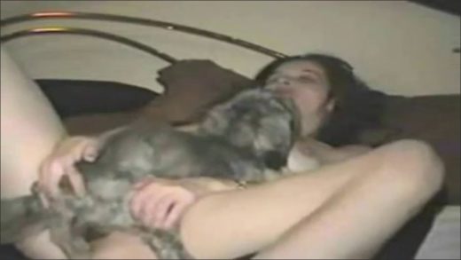 little_dog_2