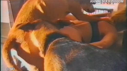 metal_dog_-_she_likes_her_dogs_2_bc