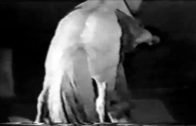 ponyfuck extreme