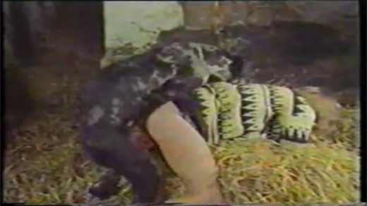 woman_raped_by_pig_and_dog