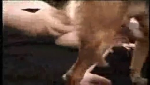 woman_wanking_dog