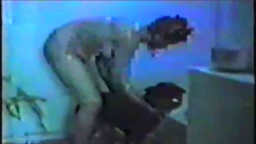 zoo_compilation