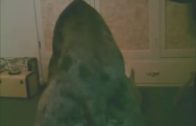 dog_and_knotty