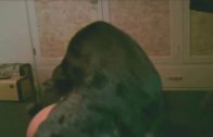 dog_sex_27
