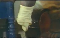 jerking_horse_with_condom