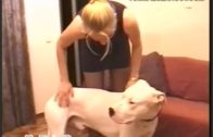 my dog can screw too