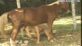 tsb01115_-_trans_animal_sluts