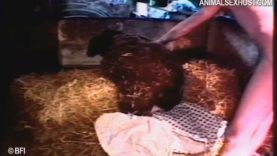 gmv2747_-_animal_variety_09a