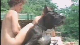 animal_variety_11_dvd_3