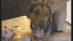 sherdv039_-_nasty_dogcum_parties