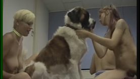 the_best_bestiality_liveshow_scenes